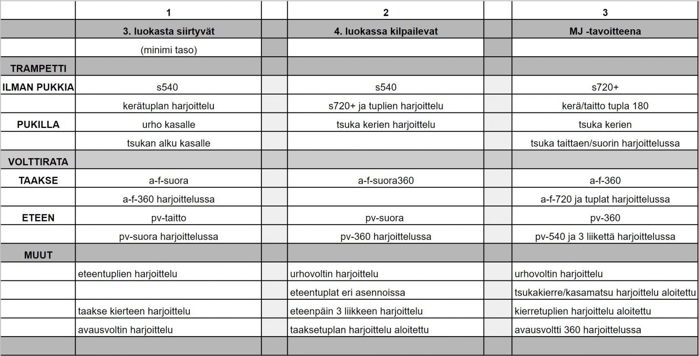 Kuvassa 4. lk leirien tasotaulukko